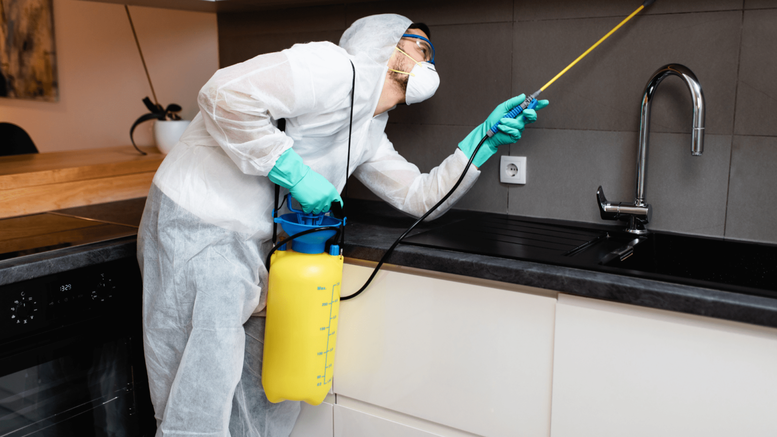 dedetizadora-em-campinas-imunitek-ambiental