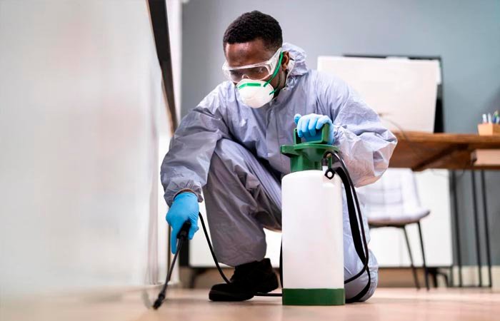 servicos-de-Dedetização